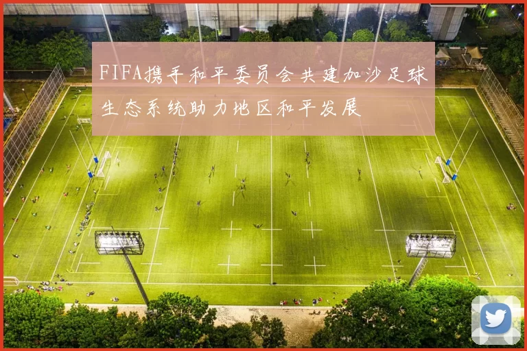 FIFA携手和平委员会共建加沙足球生态系统助力地区和平发展