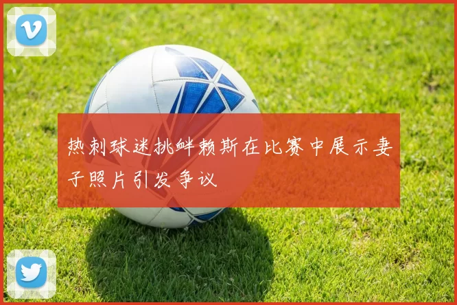 热刺球迷挑衅赖斯在比赛中展示妻子照片引发争议