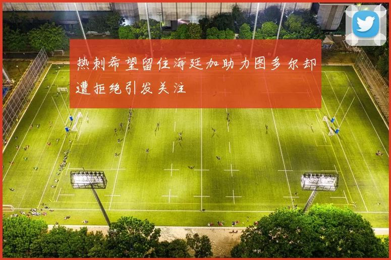 热刺希望留住海廷加助力图多尔却遭拒绝引发关注