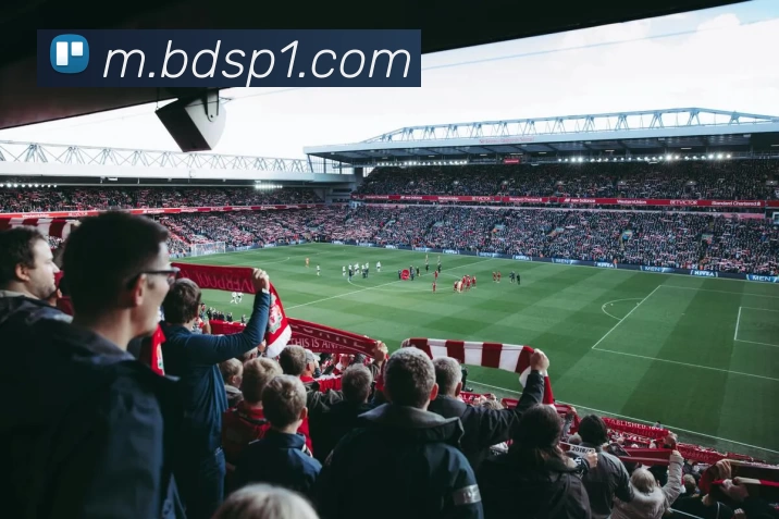 半岛体育全站App